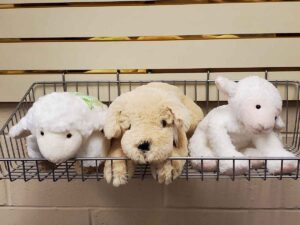 Stuffed Animals